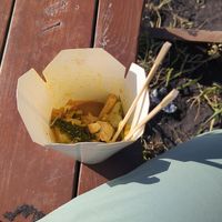 Mostly finished veganizer at Wok On Vík in Vik