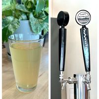 Kombucha on tap  at New Love Coffee in Liberty Lake