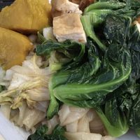 Pumpkin, tofu, napa cabbage, flat rice noodles and gai lan from the buffet   at Buffet Vegetarian & Food by Menu in Luang Prabang