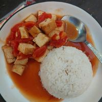 Tofu with tomatoes and rice at Buffet Vegetarian & Food by Menu in Luang Prabang