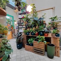 Inside the bar at Plantbar Jacqueline in Borgerhout