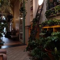  at Plantbar Jacqueline in Borgerhout