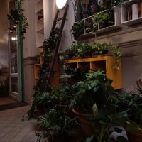  at Plantbar Jacqueline in Borgerhout