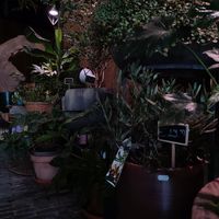  at Plantbar Jacqueline in Borgerhout