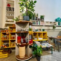  at Plantbar Jacqueline in Borgerhout