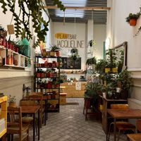 Cute interior  at Plantbar Jacqueline in Borgerhout