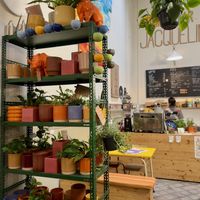 Some items for sale  at Plantbar Jacqueline in Borgerhout