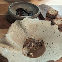 Topinambourg - Chicorée du Nord - Chanterelle de Cueillette Eringi des Caves Bruxelloises - Balsam Fir at Entropy in Brussels