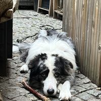   at Entropy in Brussels