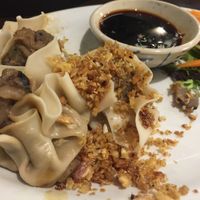 Dumplings  at Madame K's Vegetarian in Fitzroy