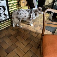   at Café Kollwitz  in Leipzig