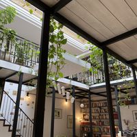   at Lettera Viva in Trieste