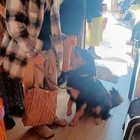 All animals are welcome at the bakery🥰 at A Padaria in Aljezur