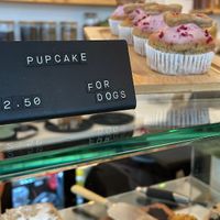  at Offbeet - Southsea in Southsea