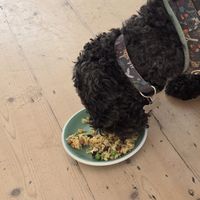  at Offbeet - Southsea in Southsea