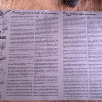 Historia   at Orchid Coffee & Tea Shop in Monteverde