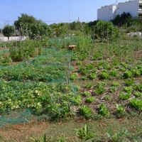 Wonderful bio garden of the Ciel Azul. at Mel de Magraneta by Ciel Azul in Ibiza