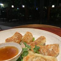 Vegan gyoza   at R'Miet in Siem Reap