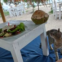 Nice beds and seating right at the sea at Bintang Tiga- 'Ra' Healing Food in 