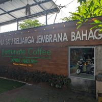  at Fortunate Coffee in Negara