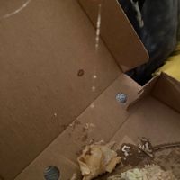  at Mackie's 19.2 in Aberdeen