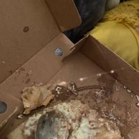  at Mackie's 19.2 in Aberdeen