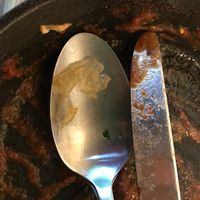 plastic in main dish  at De Veldkeuken in Bunnik