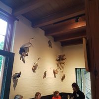 stuffed animals on the wall at De Veldkeuken in Bunnik