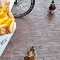  at Dapp Frietwinkel in Leiden
