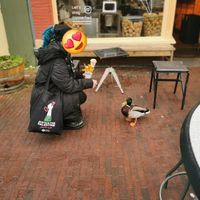  at Dapp Frietwinkel in Leiden