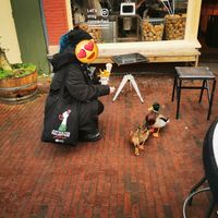  at Dapp Frietwinkel in Leiden