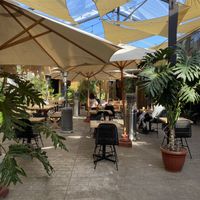   at Mala Mía  in Santiago