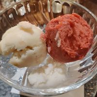 Cherry Sorbet and Bramley Apple Sorbet at The Physician in Birmingham