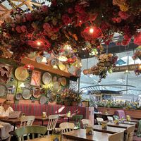   at STN - Comptoir Libanais in Stansted