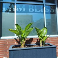  at Cafe Gratitude in Venice