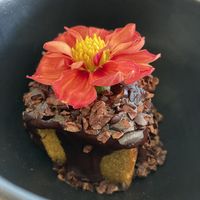 Bolo  at Moringa in Niteroi