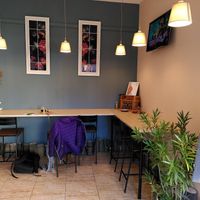 Friendly vegan coffee shop in central Subotica at Raw Story in Subotica