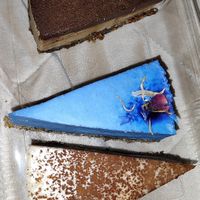  at Raw Story in Subotica