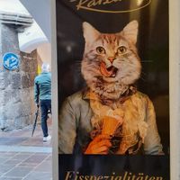  at Katzung in Innsbruck