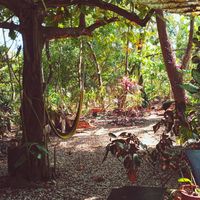The garden at Indigena Cafè & Chocolate in Cabuya