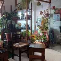  at La Casita Jardín in Altea