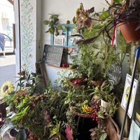   at La Casita Jardín in Altea