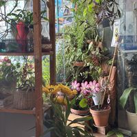   at La Casita Jardín in Altea