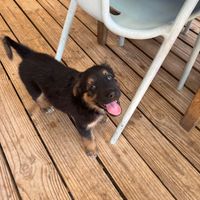  at Tranquilo Cafe in Corn Islands