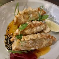 Japanese Gyozas  at Wittern in Veghel