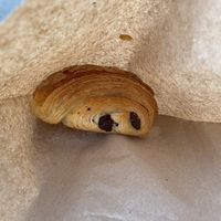   at British Patagonia in North London