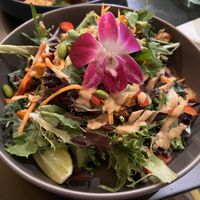 Rainbow Salad  at Plantasia Eatery in Flagstaff