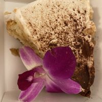   at Plantasia Eatery in Flagstaff