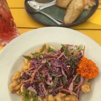  at Plantasia Eatery in Flagstaff