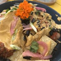   at Plantasia Eatery in Flagstaff